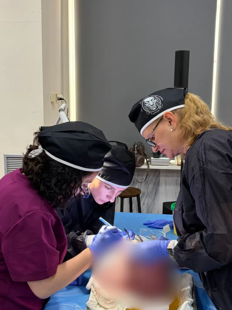 plastic surgery cadaver course 14