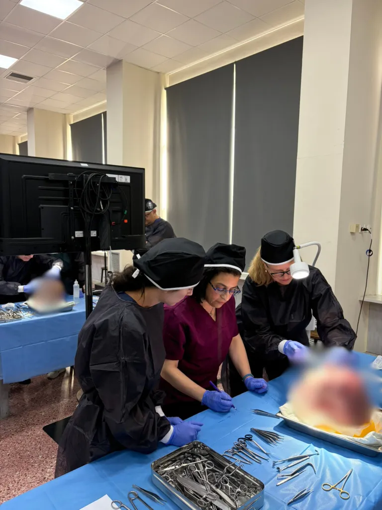 plastic surgery cadaver course 20
