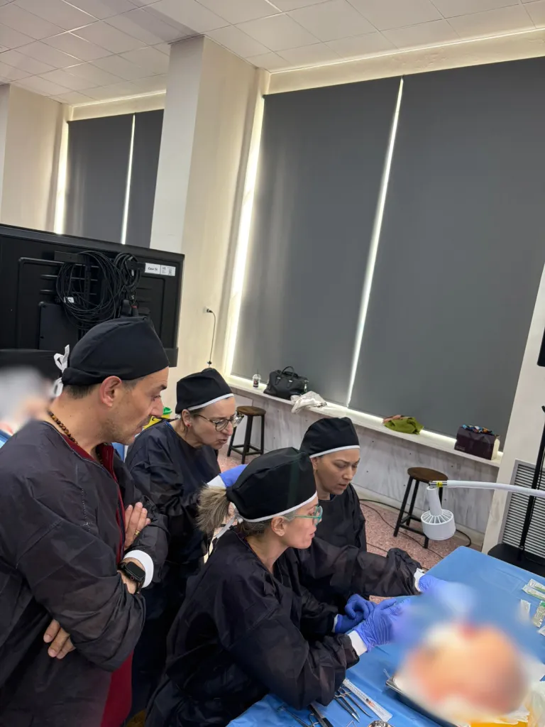 plastic surgery cadaver course 22