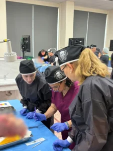 plastic surgery cadaver course 26