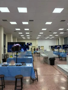 plastic surgery cadaver course 28