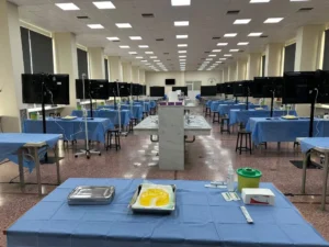 head plastic surgery cadaver course 4